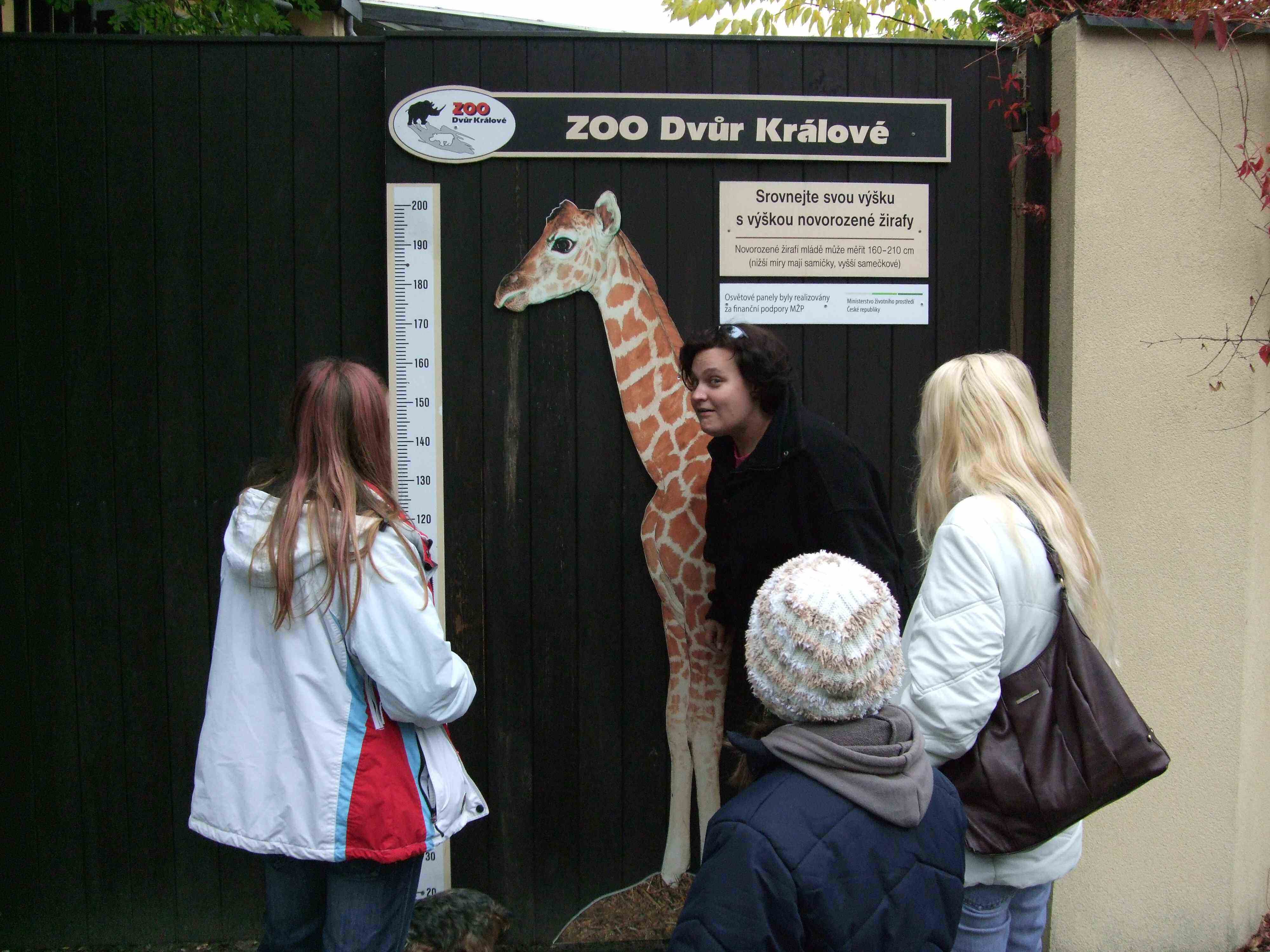 DSCF1072.jpg