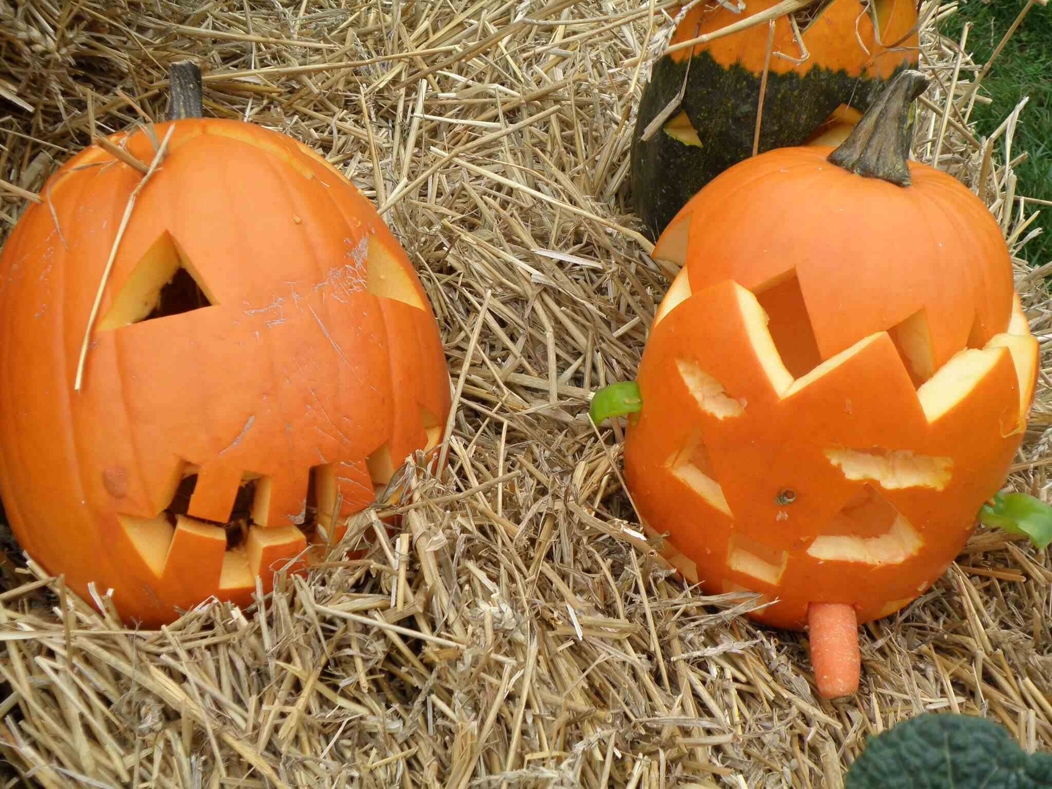 PA245829.jpg