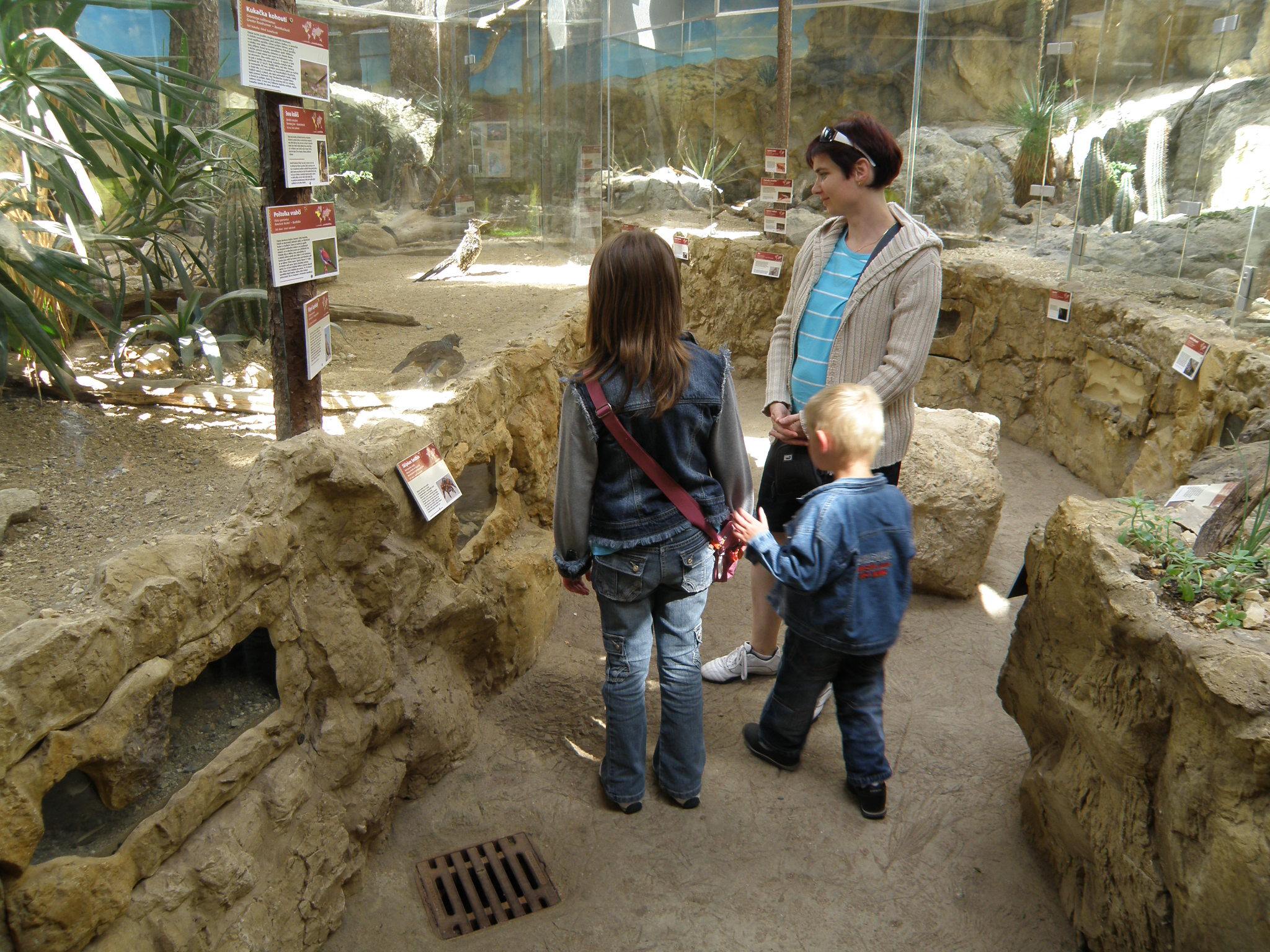 P7261584.jpg