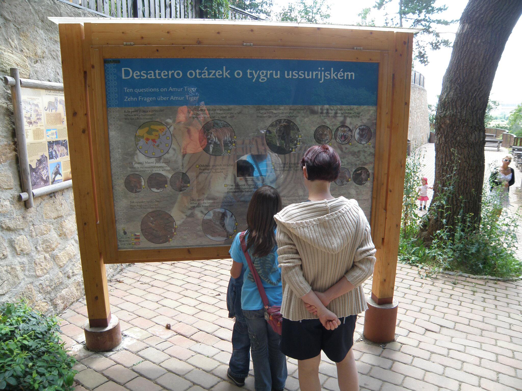 P7261588.jpg