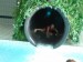 DSCF1405.jpg